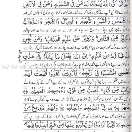 Urdu: Tafseer Ahsan-Ul-Bayan (7 x 10")