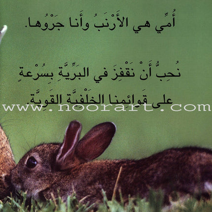 Baby Animal Series (8 Books) سلسلة صغار الحيوانات