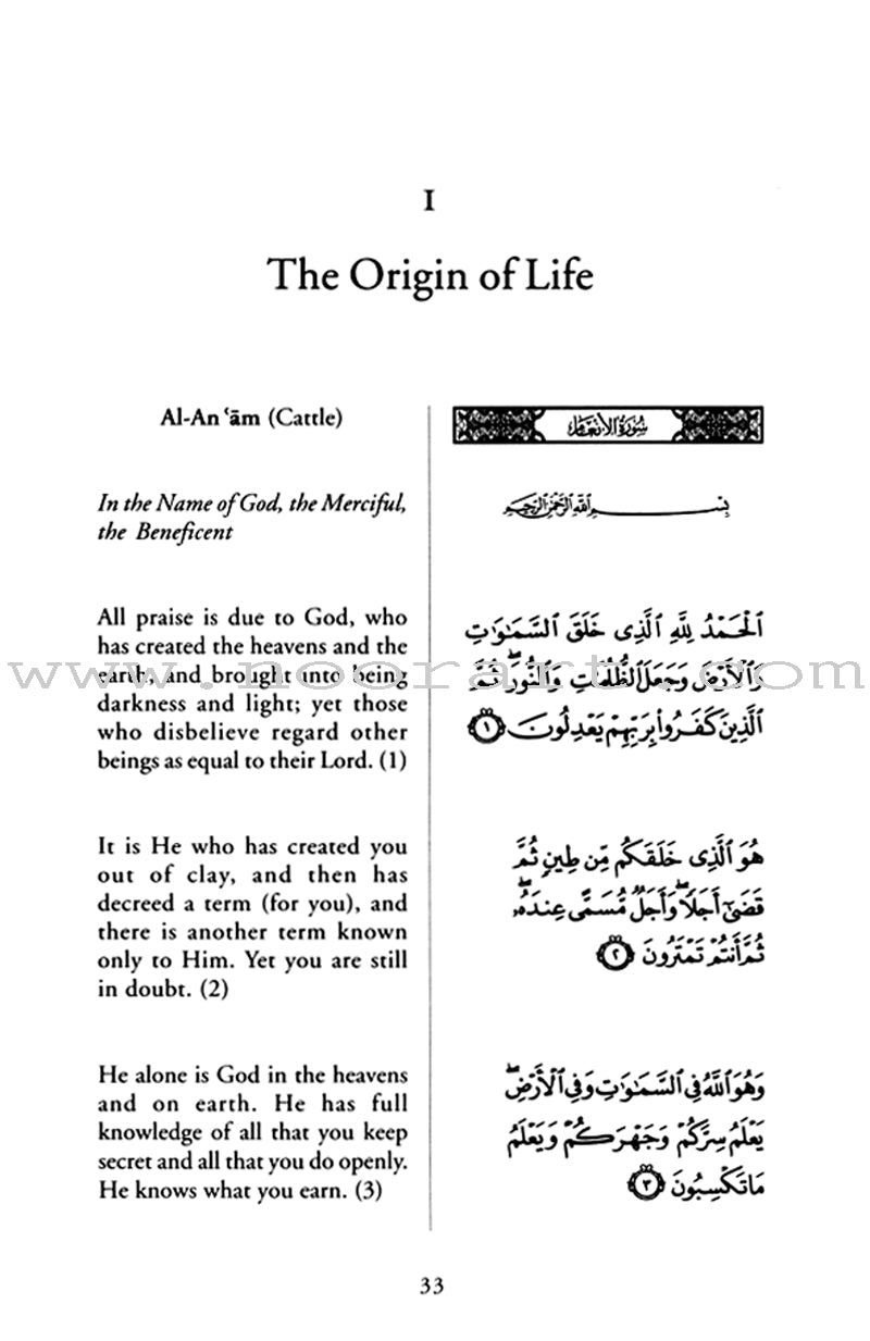 In the Shade of the Qur'an: Volume 5 (V)