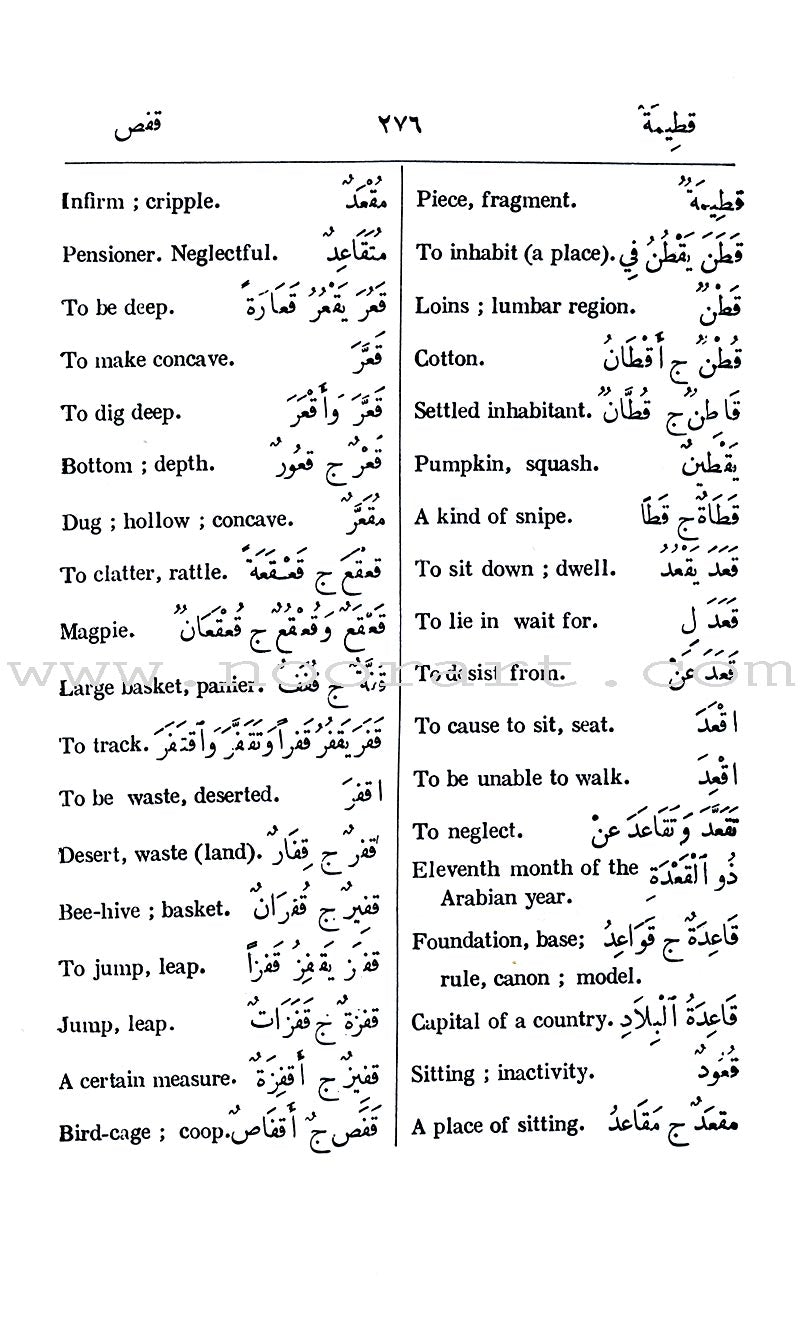 Hippocrene Standard Dictionary Arabic-English and English-Arabic