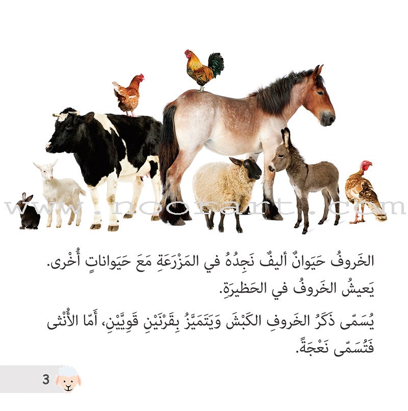 Let's Read and Discover Series (set of 5 books) سلسلة  هيا نقرأ ونكتشف