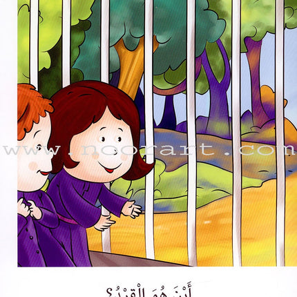 Sequential Reading - Beginner Level (Set of 48 Books) القراءة المتسلسلة