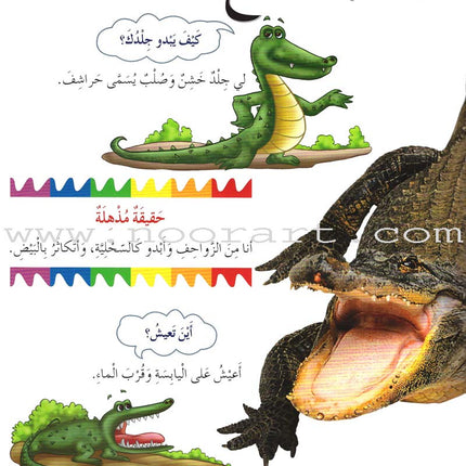 My First Questions and Answers Series سلسلة أسئلتي وأجوبتي الأولى