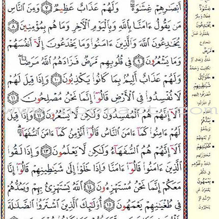 Tajweed Quran - Silver and Gold Cover (Hafs Narration)