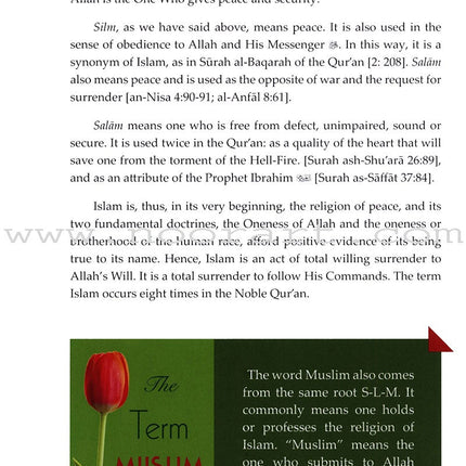 Islam A Total Beginner's Guide (3 Part Set)