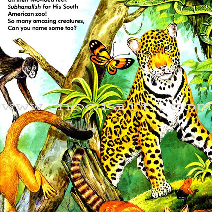 Allah's Zoo