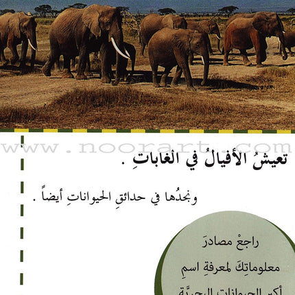 Useful Reading Series - Elephants - Level A2 القراءة المفيدة  - الفيلة