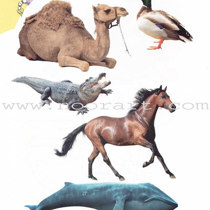 Play with Pictures and Letters Textbook: Pre-KG Level -العب مع الصور و الحروف