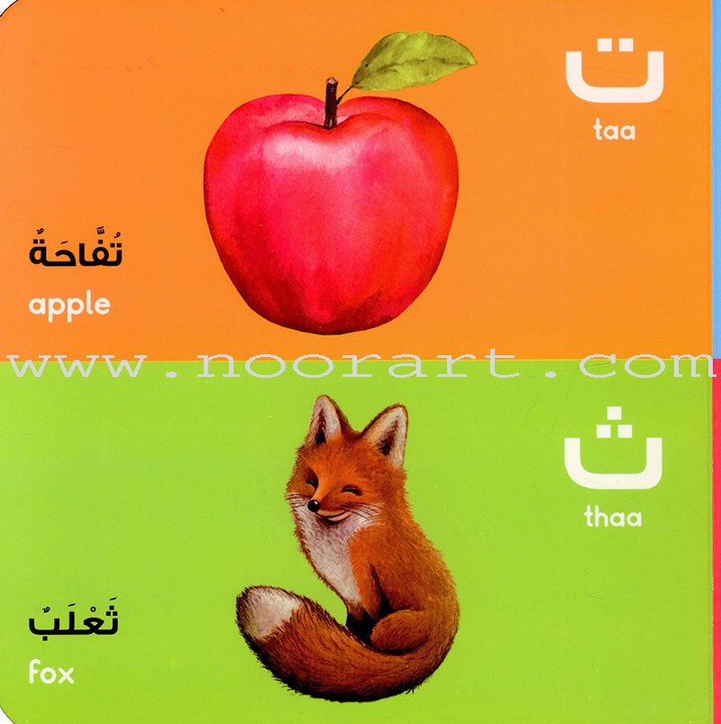 The Arabic Letters Board Book  الحروف العربية