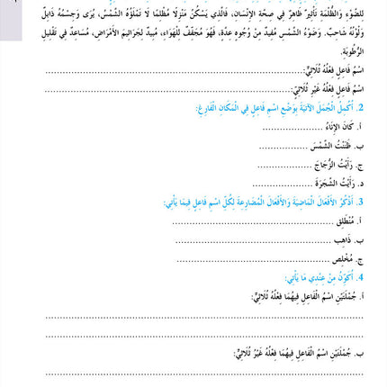 In the Arabic Language Garden Simplified Grammar: Level 7 في حديقة اللغة العربية كتاب التمارين