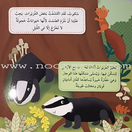 Play  and Make Series (Set of 4 books)