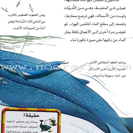 Learning Ladders (Set of 10 Books) سلالم التعلم