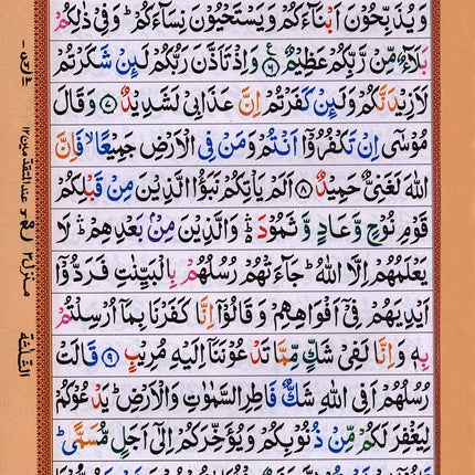 Holy Qur'an with Color Coded Tajweed Rules   (Hafzi, Medium Size,15 Lines)