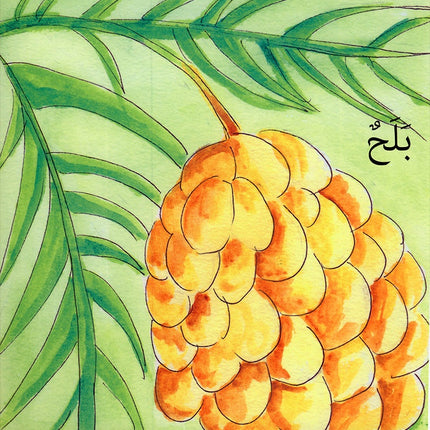 My Environment,Life Cycle Series سلسلة دورة الحياة , بيئتي