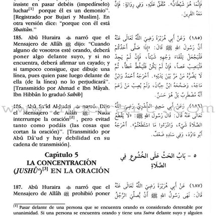 Bulug Al-Marâm - El Al cance de lo Deseado de las Evidencias de la Legislación (Spanish) بلوغ المرام