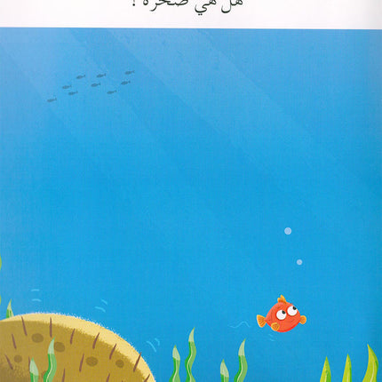 Graded Reading Series - Yellow Group: Level 3 (set of 5 Books) سلسلة القراءة المتدرجة مجموعة اللون الأصفر