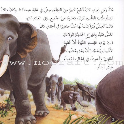 Stories and Lessons Series (4 books) قصص وعبر
