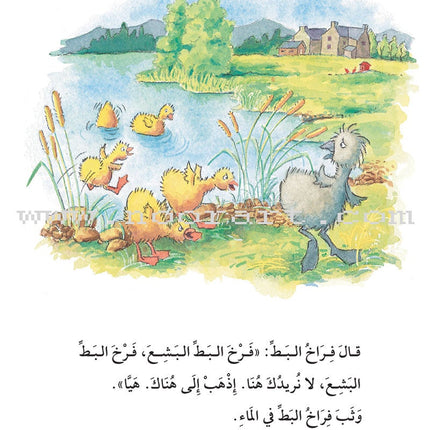 The Useful Reading Series: Level 5 (Set of 4 Books) سلسلة المطالعة المفيدة: المستوى الخامس