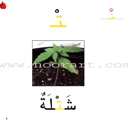 Ladder Reading Stories Box (28 Alphabets) سلسلة سلم القراءة داخل علبة