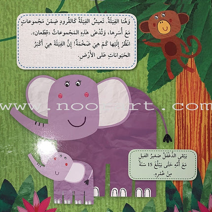 Play  and Make Series (Set of 4 books)