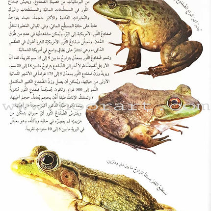 Encyclopedia of knowledge for young people  (My giant book ,Set of 25 Books) موسوعة المعرفة للناشئة  ,كتابي العملاق