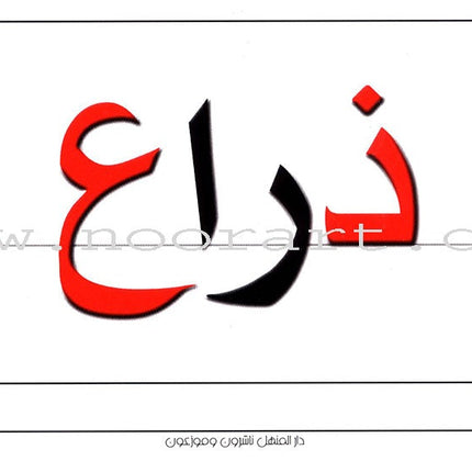 Educational Cards - Words Collection: Level 4