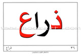 Educational Cards - Words Collection: Level 4
