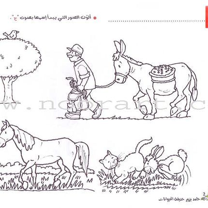 My Letters in Activities (28 Books)