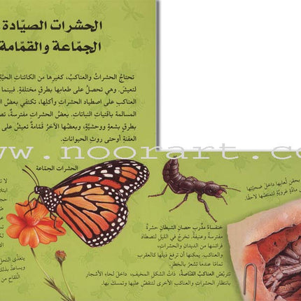 Discover with The Three-Dimensional Telescope (6 books) اكتشف بالمنظار الثلاثي الأبعاد