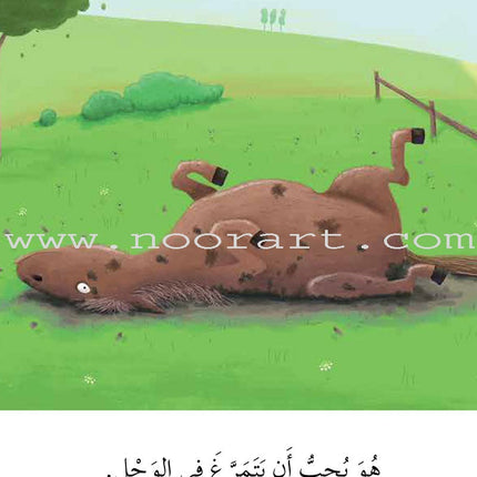 Graded Reading Series - Green Group: Level 5 (set of 5 Books) سلسلة القراءة المتدرجة مجموعة اللون الأخضر