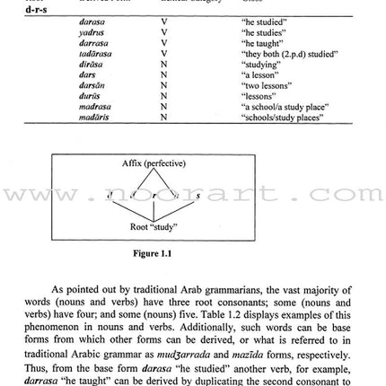 Arabic Second Language Acquisition of Morphosyntax