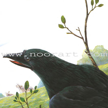 Animals In Stories : Level 1 (6 Books) حيوانات في قصص