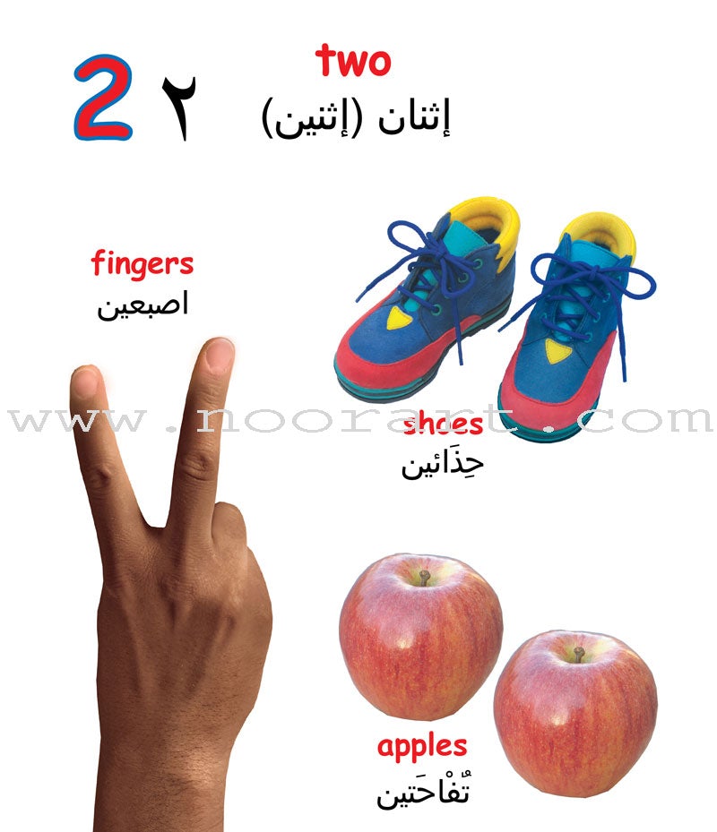 Learning Props English-Arabic Books (Set of 10 Books)