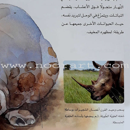 Learning Ladders (Set of 10 Books) سلالم التعلم