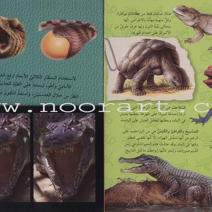 Discover with The Three-Dimensional Telescope (6 books) اكتشف بالمنظار الثلاثي الأبعاد