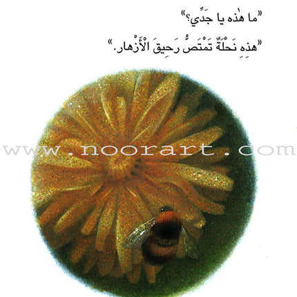 The Reader's Club: Level 3 (14 Books) نادي القراء - المستوى الثالث
