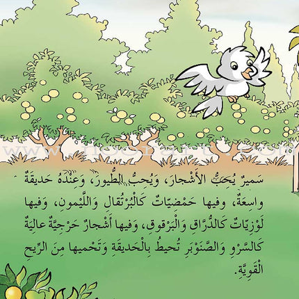 ICO Arabic Stories Box 4 (4 Stories, with 4 CDs) صندوق القصص التربوية