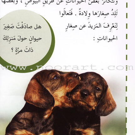 Useful Reading Series - Baby Animals - Level A1 القراءة المفيدة - صغار الحيوانات