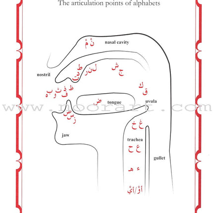 Modern Yassarnal Qur'an أنوار قرآنية في القاعدة البغدادية