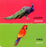 Arabic Words Board Book الكلمات العربية