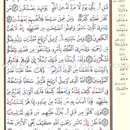 Tajweed Quran - Hardcover (Colors May Vary) مصحف التجويد - مجلد
