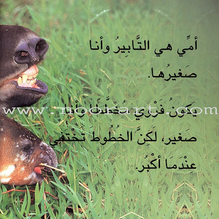 Baby Animal Series (8 Books) سلسلة صغار الحيوانات