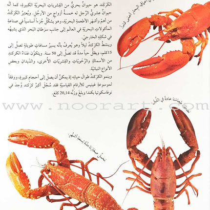 Encyclopedia of knowledge for young people  (My giant book ,Set of 25 Books) موسوعة المعرفة للناشئة  ,كتابي العملاق