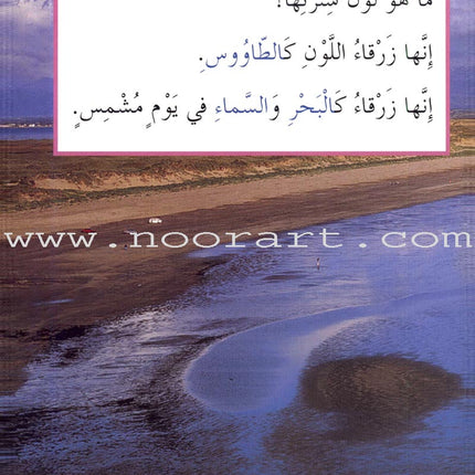 Read About Series (8 Books) سلسلة اقرأ عن