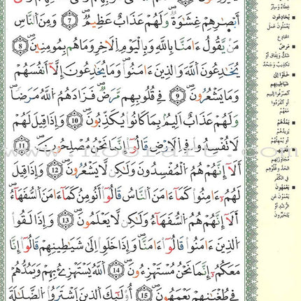 Tajweed Qur’an (Whole Qur’an, Warsh Narration, Color may Vary, Size: 8"x5.5") مصحف التجويد برواية ورش