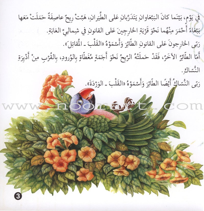 Stories and Lessons Series (4 books) قصص وعبر