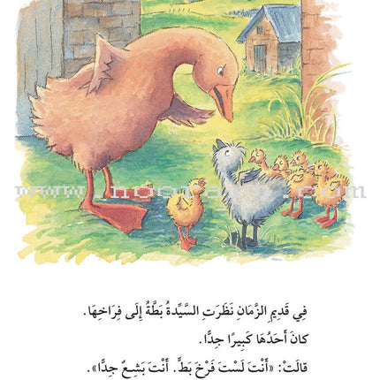 The Useful Reading Series: Level 5 (Set of 4 Books) سلسلة المطالعة المفيدة: المستوى الخامس