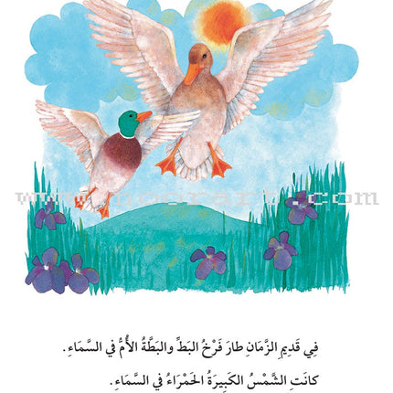 The Useful Reading Series: Level 5 (Set of 4 Books) سلسلة المطالعة المفيدة: المستوى الخامس