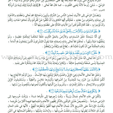 The Holy Qur'an Interpretation Series - Systematic Interpretation: Volume 10 سلسلة تفسير القراّن الكريم التفسير المنهجي