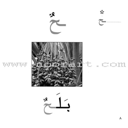 Ladder Reading Stories Box (28 Alphabets) سلسلة سلم القراءة داخل علبة